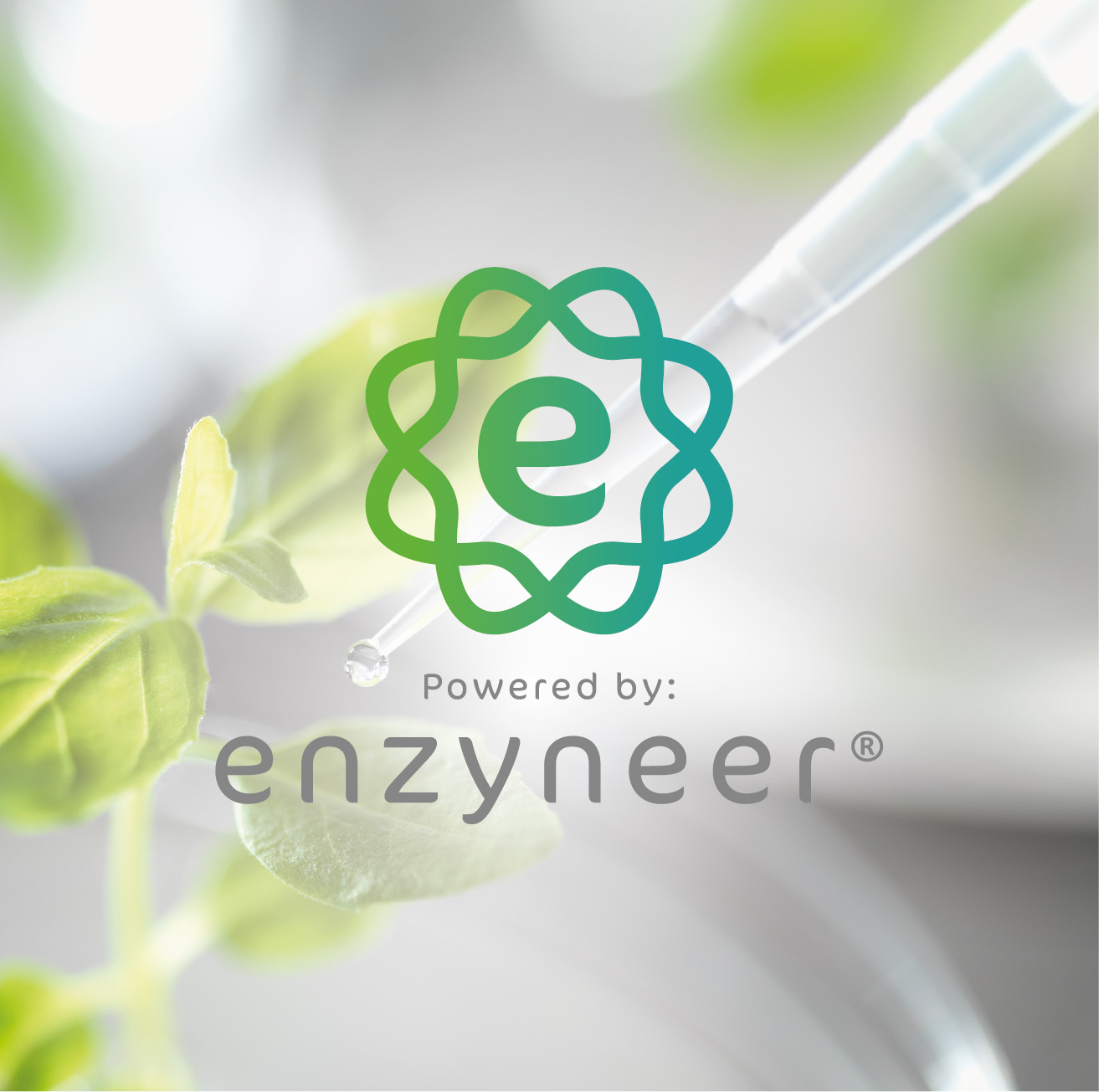 enzyneer8